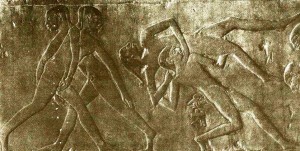 Szakkara, Ptahhotep sírja (forrás)